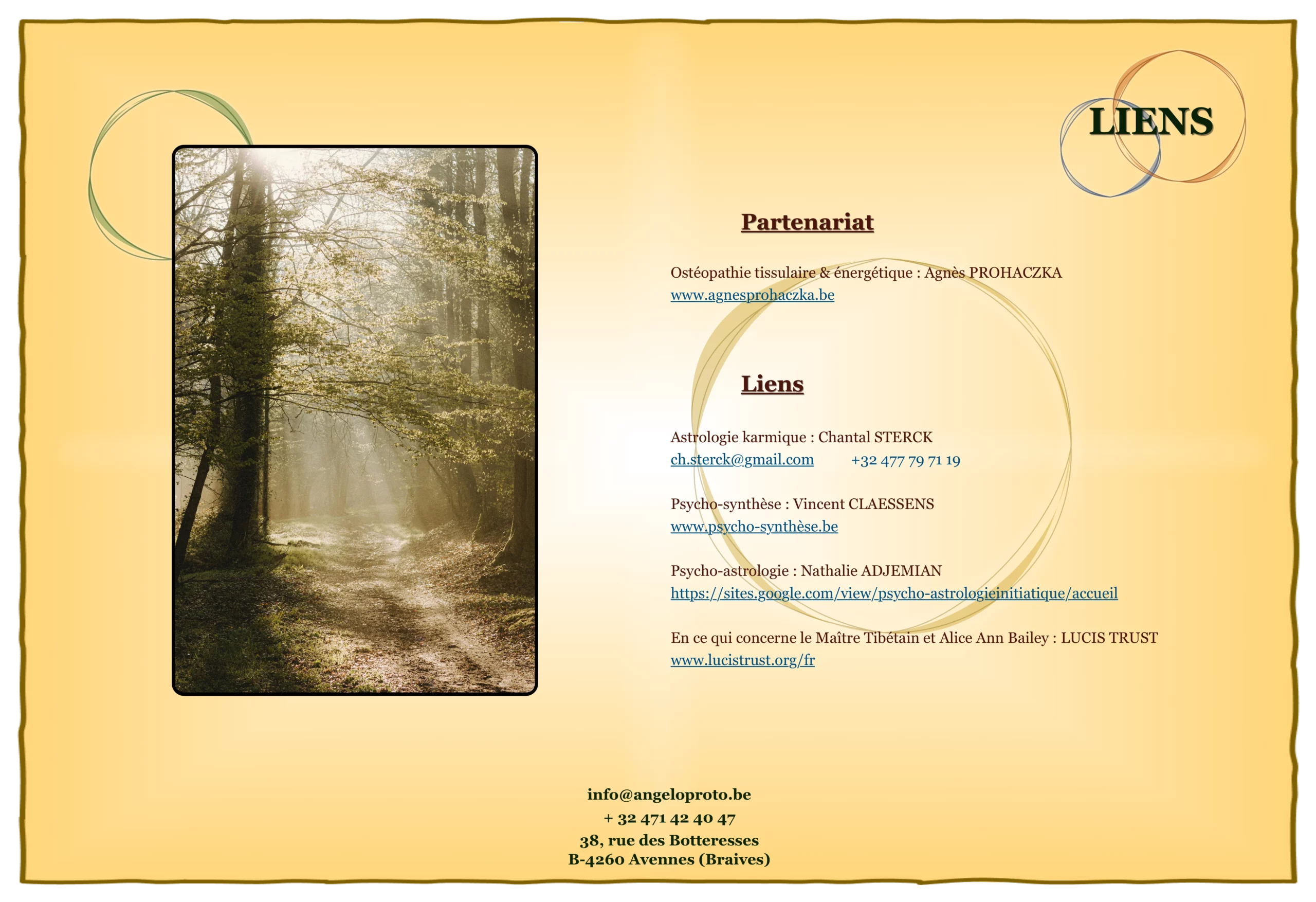 7. Liens
